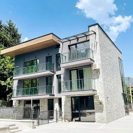 Apartment Forest Vision Welingrad